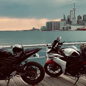 Meet your Posher, Ronald